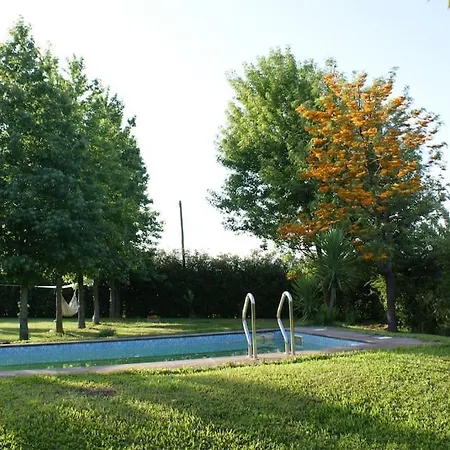 Holiday home Villa Do Souto Braga